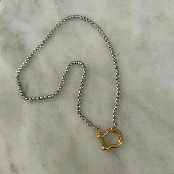 COPY - Gold Chain Two Tone Silver Horse Bit Chunky Charm Clasp Carabiner Neckla… - Picture 2 of 4